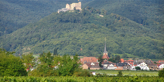 Diedesfeld